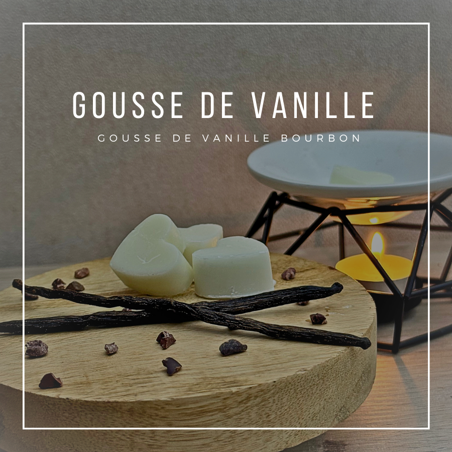 GOUSSE DE VANILLE