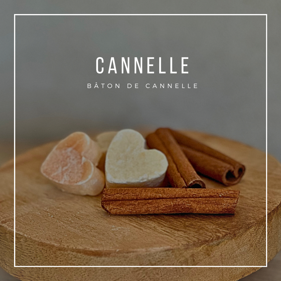 CANNELLE