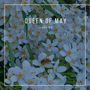 QUEEN OF MAY